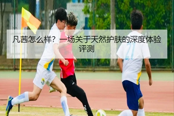 凡茜怎么样？一场关于天然护肤的深度体验评测