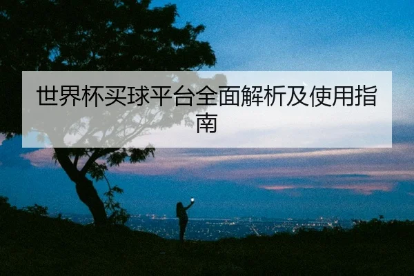 世界杯买球平台全面解析及使用指南